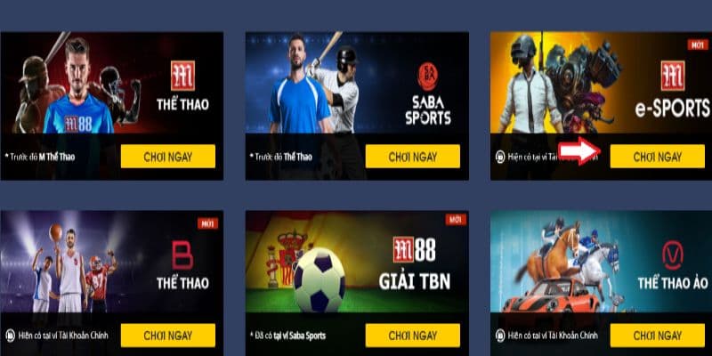 Cá cược Esports là gì?